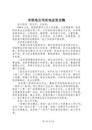 市供电公司农电会发言