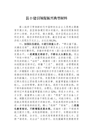 县党建引领促振兴典型材料