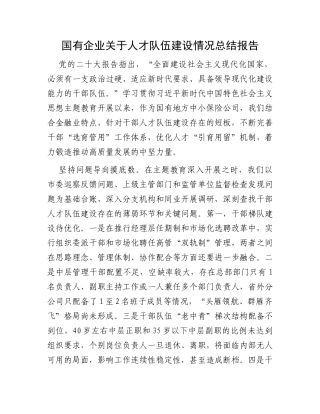 国有企业关于人才队伍建设情况总结报告