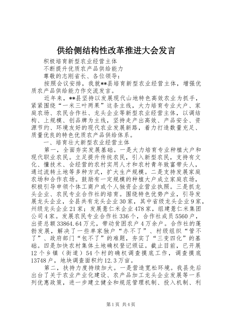供给侧结构性改革推进大会发言稿_第1页