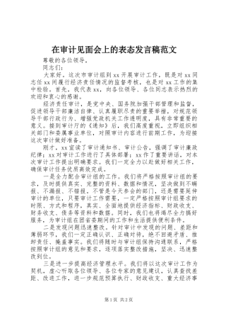 在审计见面会上的表态发言范文