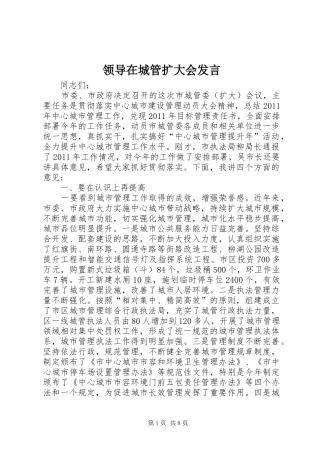 领导在城管扩大会发言稿