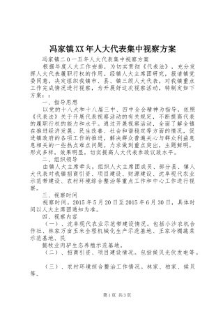 冯家镇XX年人大代表集中视察方案