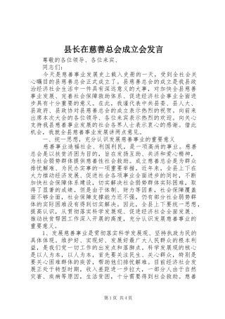 县长在慈善总会成立会发言稿