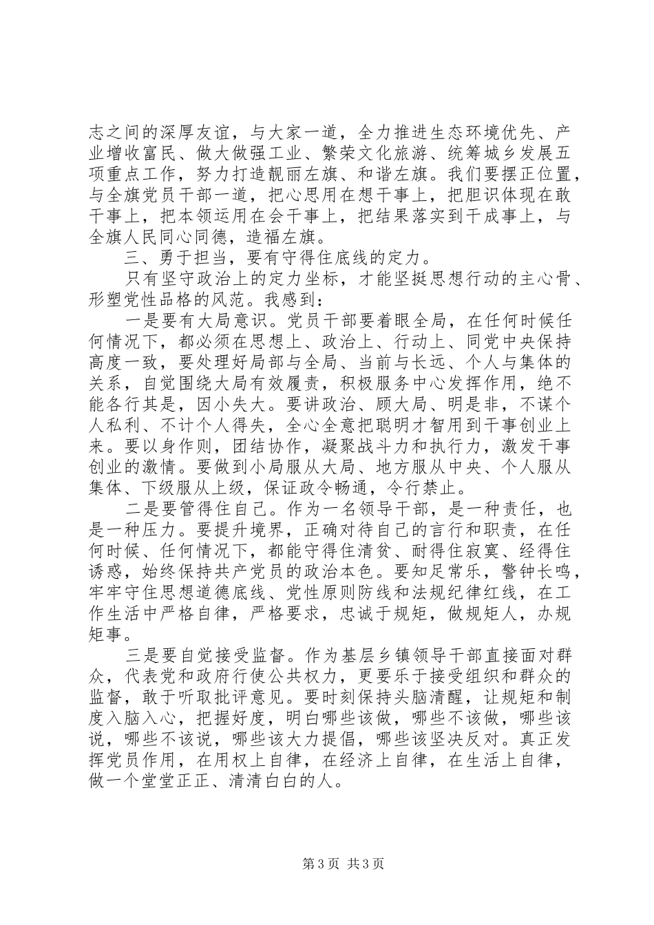 主动担当作为专题研讨发言材料提纲_第3页