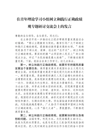 在青年理论学习小组树立和践行正确政绩观专题研讨交流会上的发言