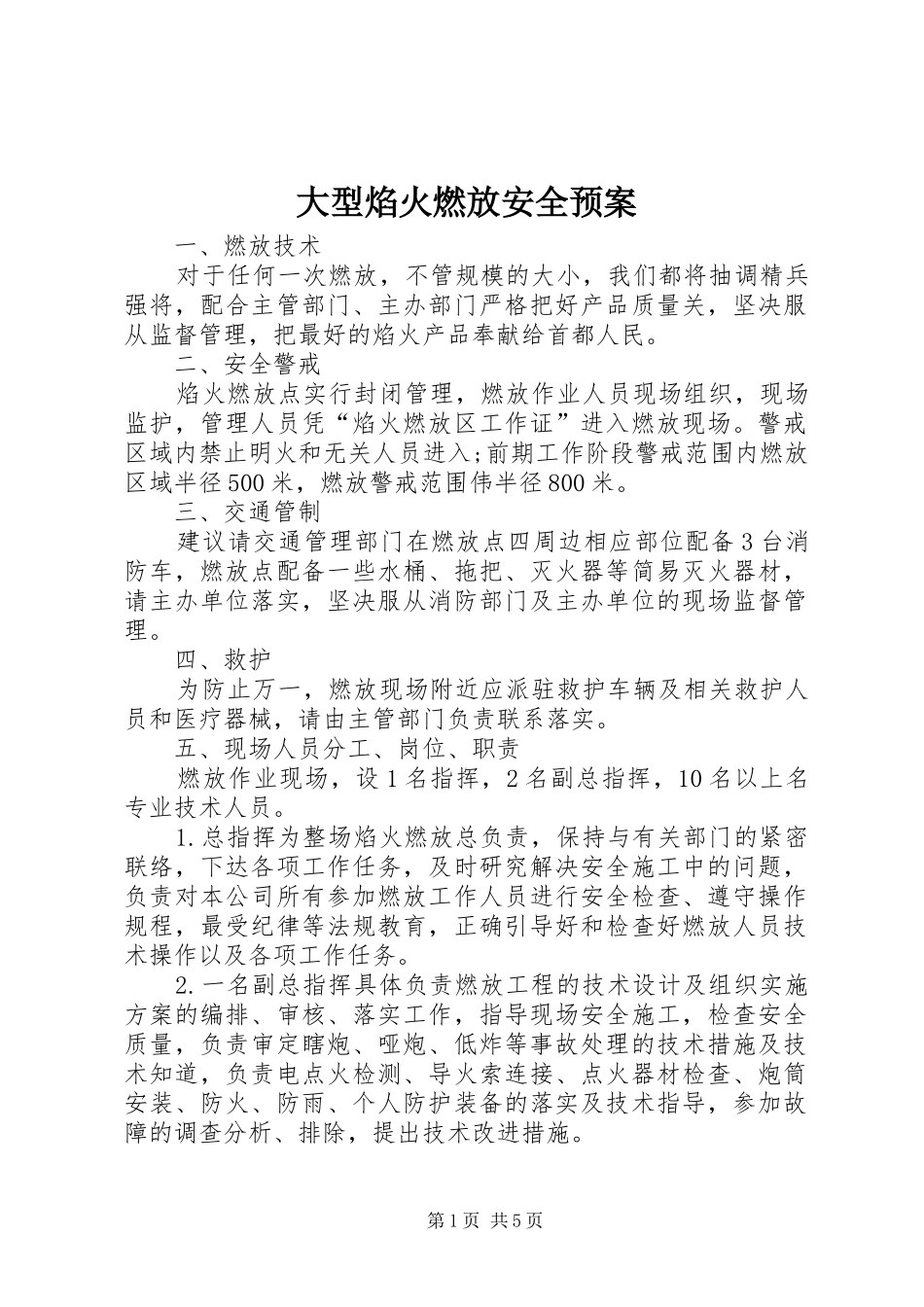 大型焰火燃放安全预案_第1页