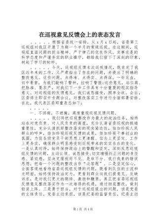 在巡视意见反馈会上的表态发言稿