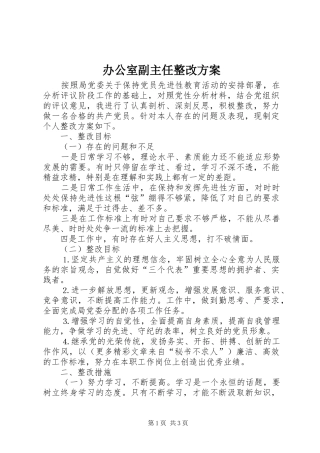 办公室副主任整改方案