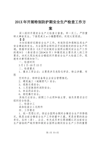 201X年开展特别防护期安全生产检查工作方案