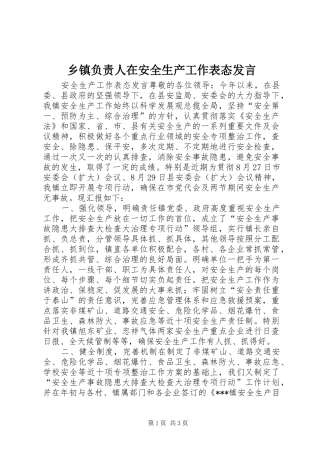 乡镇负责人在安全生产工作表态发言稿