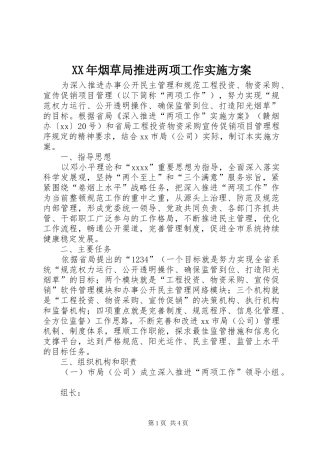 XX年烟草局推进两项工作实施方案