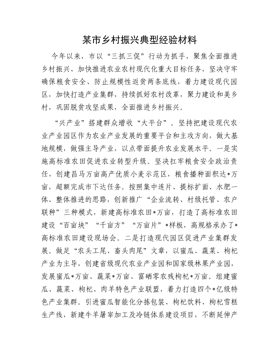 某市乡村振兴典型经验材料_第1页
