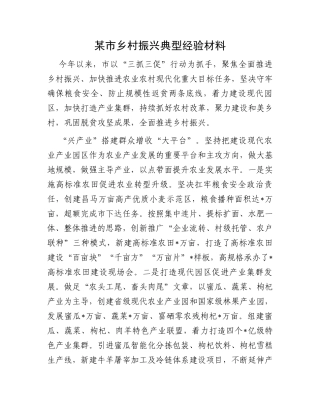 某市乡村振兴典型经验材料