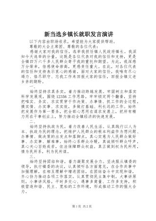 新当选乡镇长就职发言稿演讲