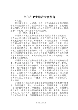 主任在卫生综治大会发言稿