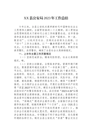 XX县公安局2023年工作总结