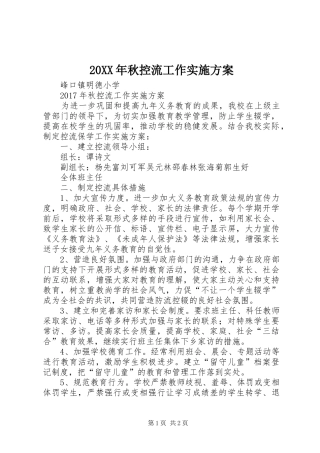 20XX年秋控流工作实施方案
