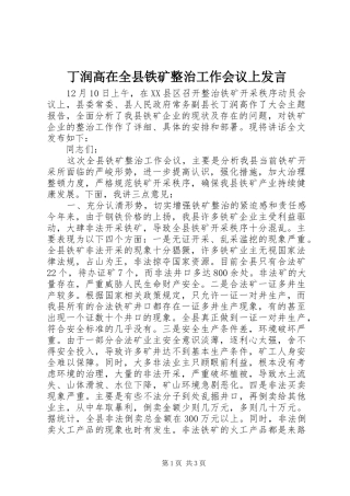丁润高在全县铁矿整治工作会议上发言稿