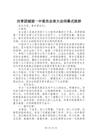 共青团城望一中委员会表大会闭幕式演讲致辞