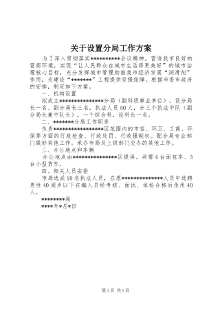 关于设置分局工作方案