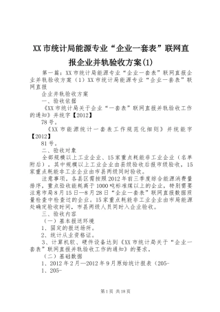 XX市统计局能源专业“企业一套表”联网直报企业并轨验收方案(1)