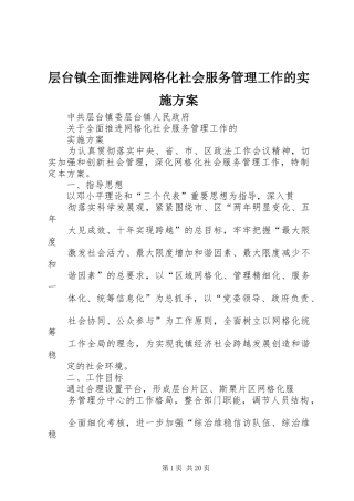 层台镇全面推进网格化社会服务管理工作的实施方案