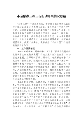 市金融办三抓三促行动开展情况总结