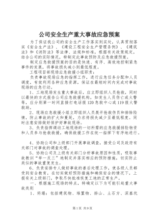 公司安全生产重大事故应急预案 (12)