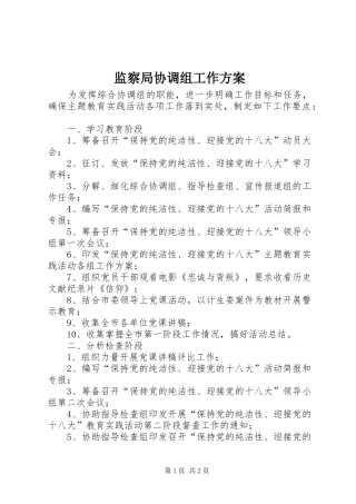 监察局协调组工作方案