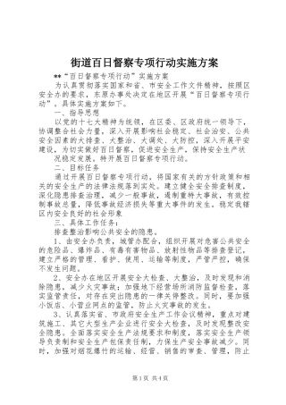 街道百日督察专项行动实施方案