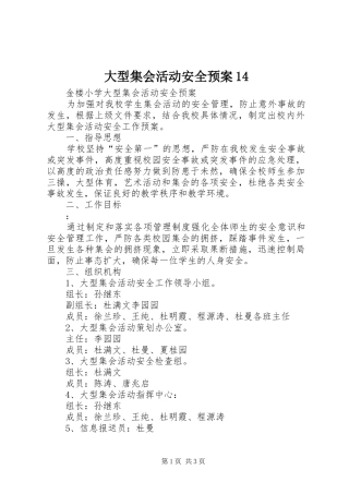 大型集会活动安全预案14