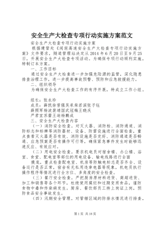 安全生产大检查专项行动实施方案范文