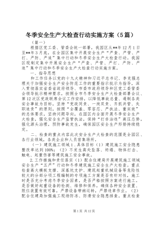 冬季安全生产大检查行动实施方案（5篇）