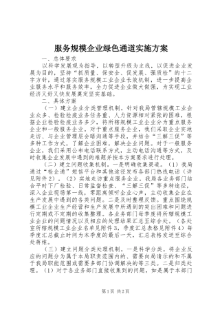 服务规模企业绿色通道实施方案