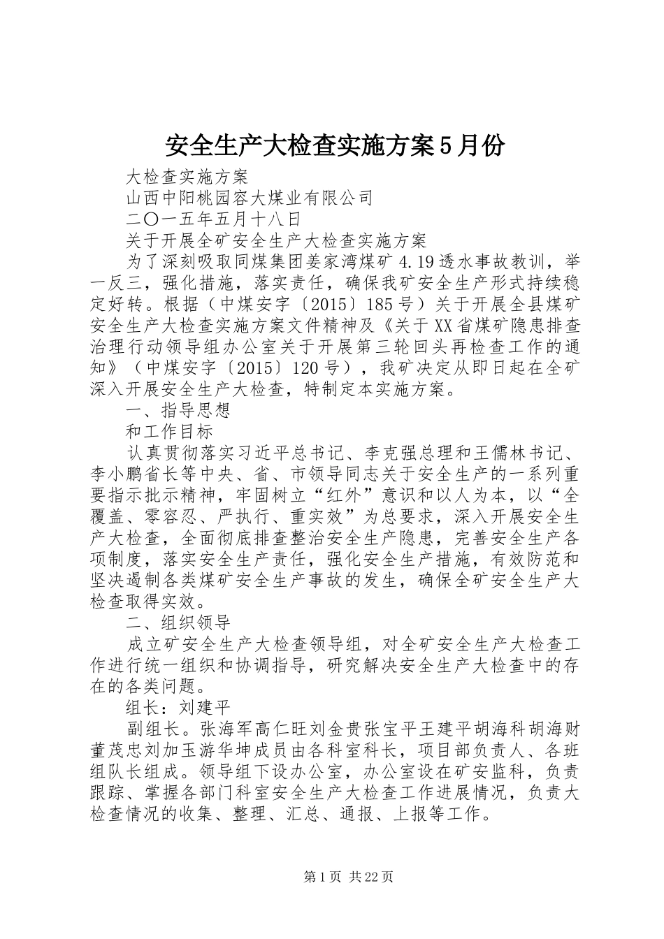 安全生产大检查实施方案5月份_第1页