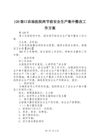 120渠口农场医院两节前安全生产集中整改工作方案