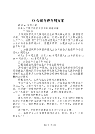 XX公司自查自纠方案