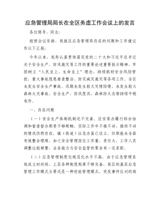 应急管理局局长在全区务虚工作会议上的发言