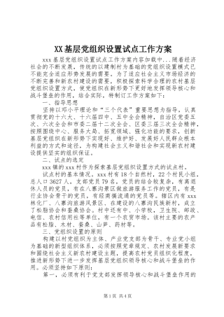 XX基层党组织设置试点工作方案