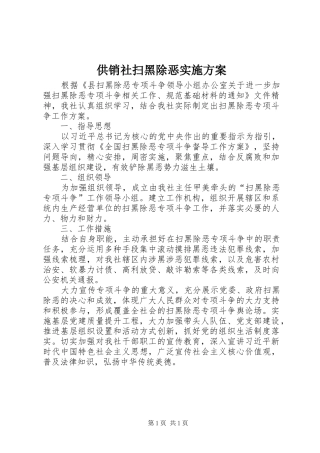 供销社扫黑除恶实施方案
