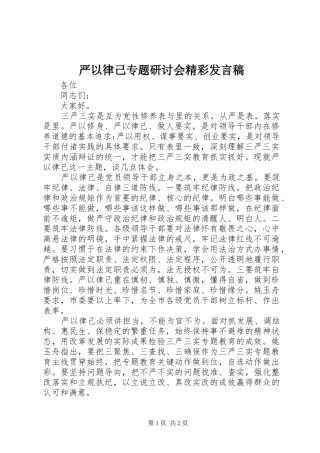 严以律己专题研讨会精彩发言