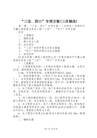 “三宝、四口”专项方案(三次修改)