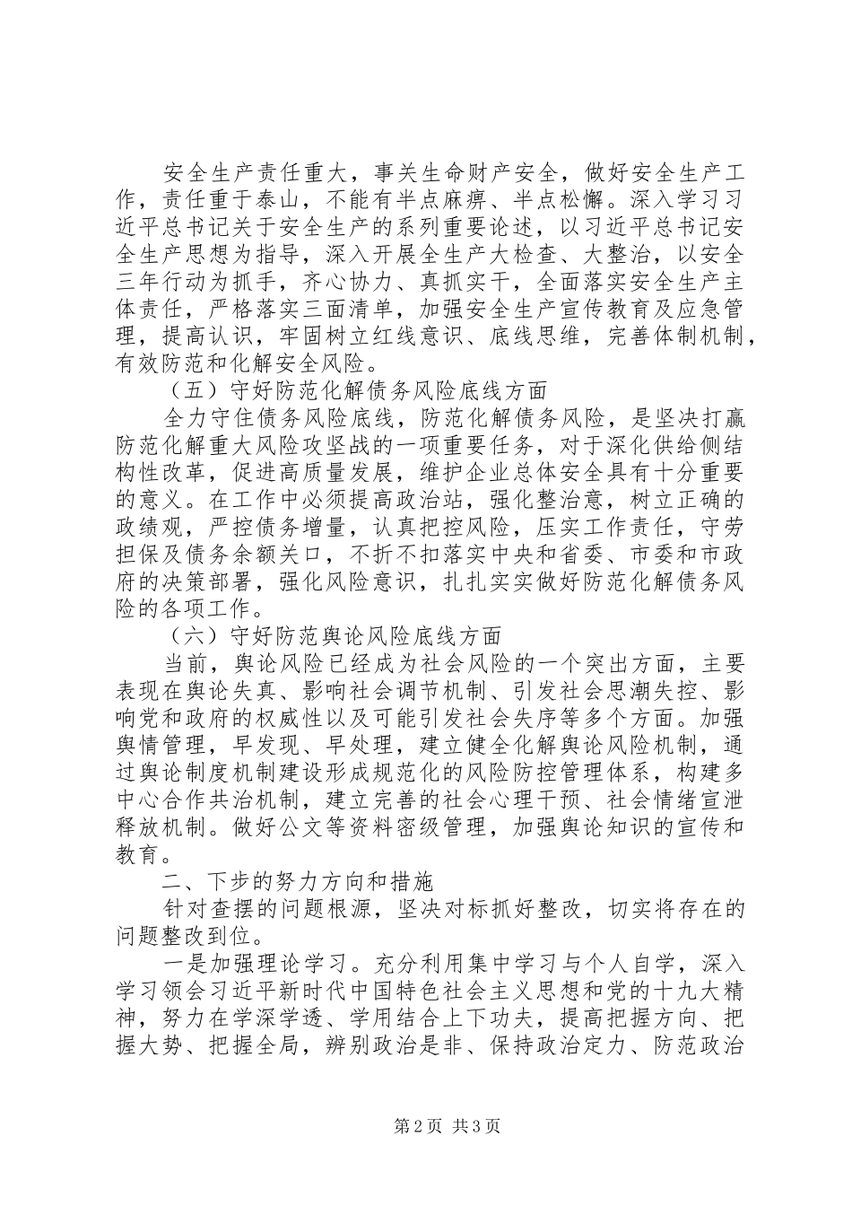 “防风险、守底线”专题会议检视分析发言材料提纲_第2页