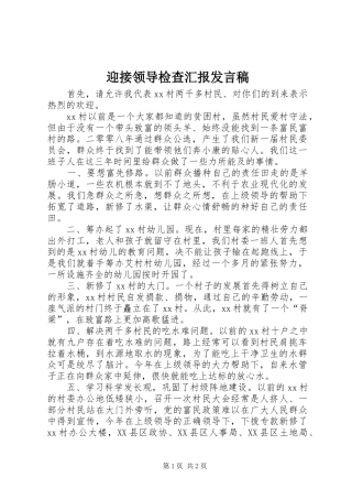 迎接领导检查汇报发言_1