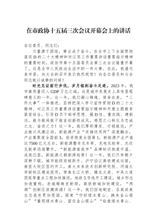 在市政协十五届三次会议开幕会上的讲话 (1)