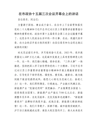 在市政协十五届三次会议开幕会上的讲话