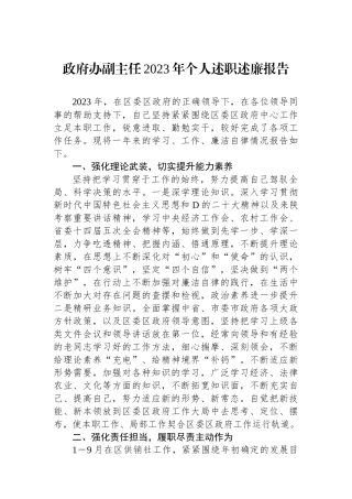 政府办副主任2023年个人述职述廉报告