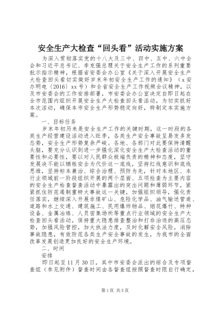 安全生产大检查“回头看”活动实施方案