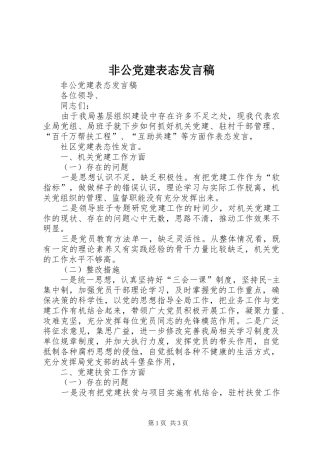 非公党建表态发言